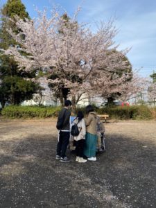 桜面会1
